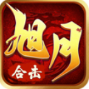 旭月合击安装