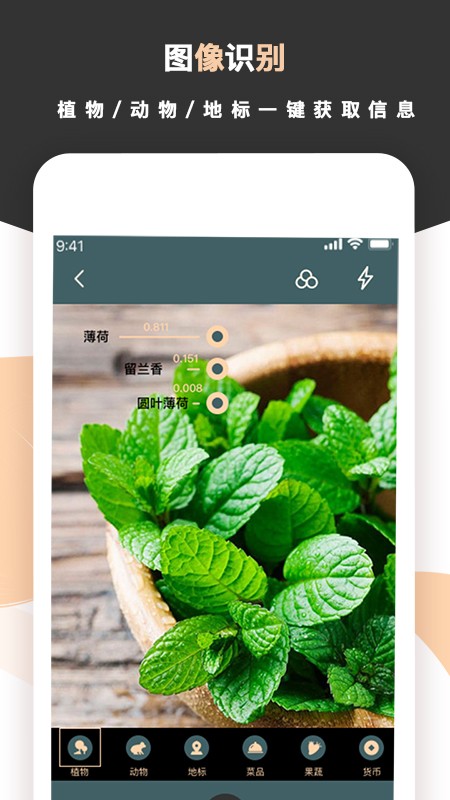 标准扫描王软件安卓安装高清大图