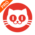 猫眼专业版APP