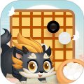 核桃围棋app安装