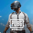 怕不鸡pubg地铁逃生安卓
