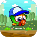 暴走的小鸡安卓版