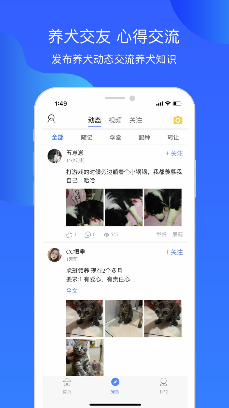 犬卫士app最新版高清大图