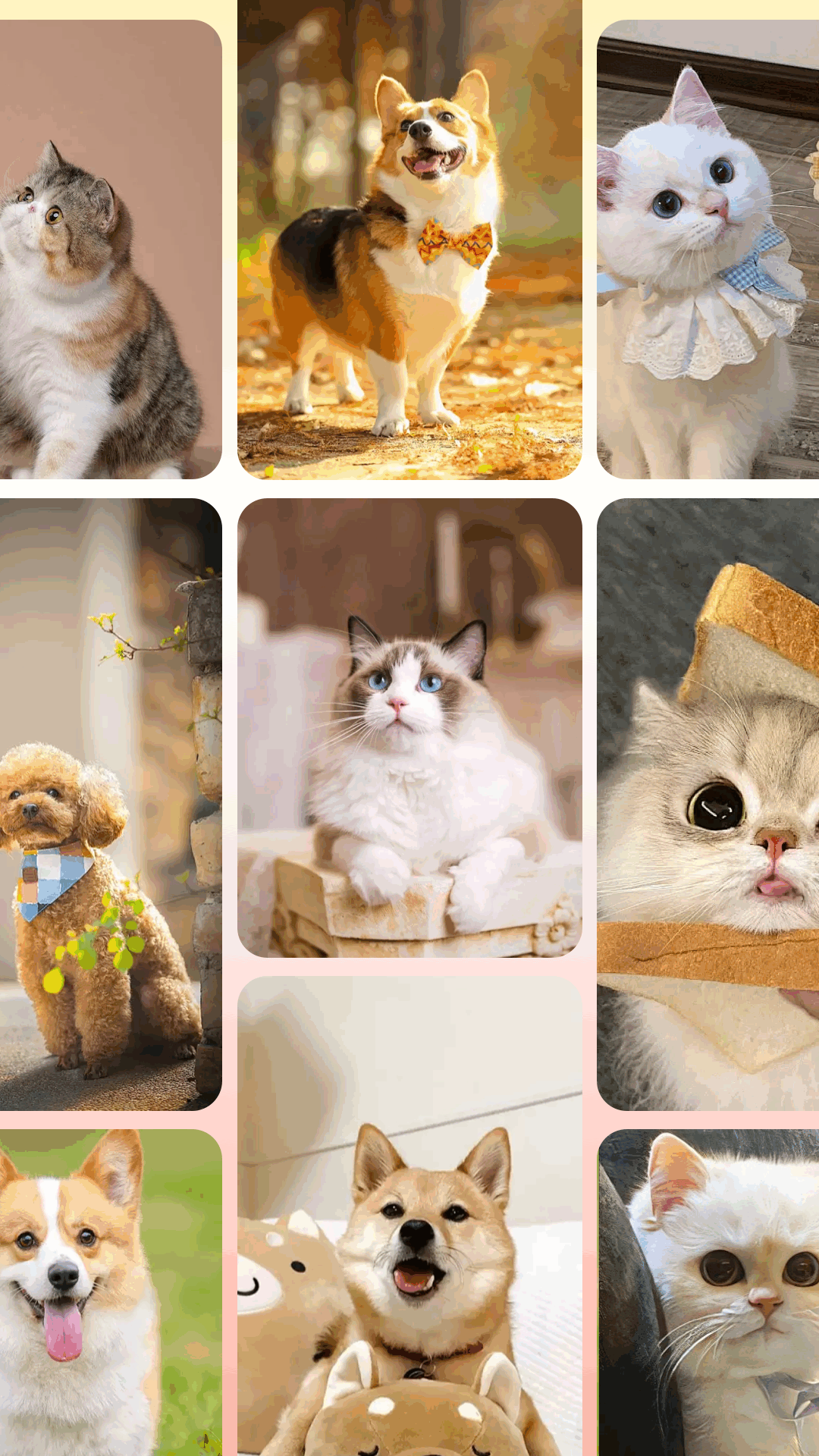 魅影MY壁纸app高清大图