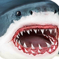 鲨鱼模拟器