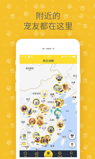 陪彼宠物APP安装高清大图