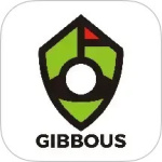 星际高球联盟app安装