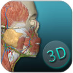 人体解剖学图集app安装最新版