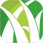 野草助手最新正版