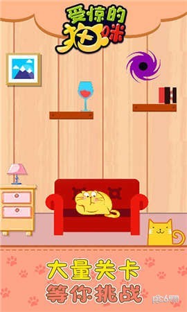 受惊的猫咪游戏高清大图