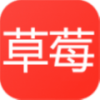 草莓免费短剧